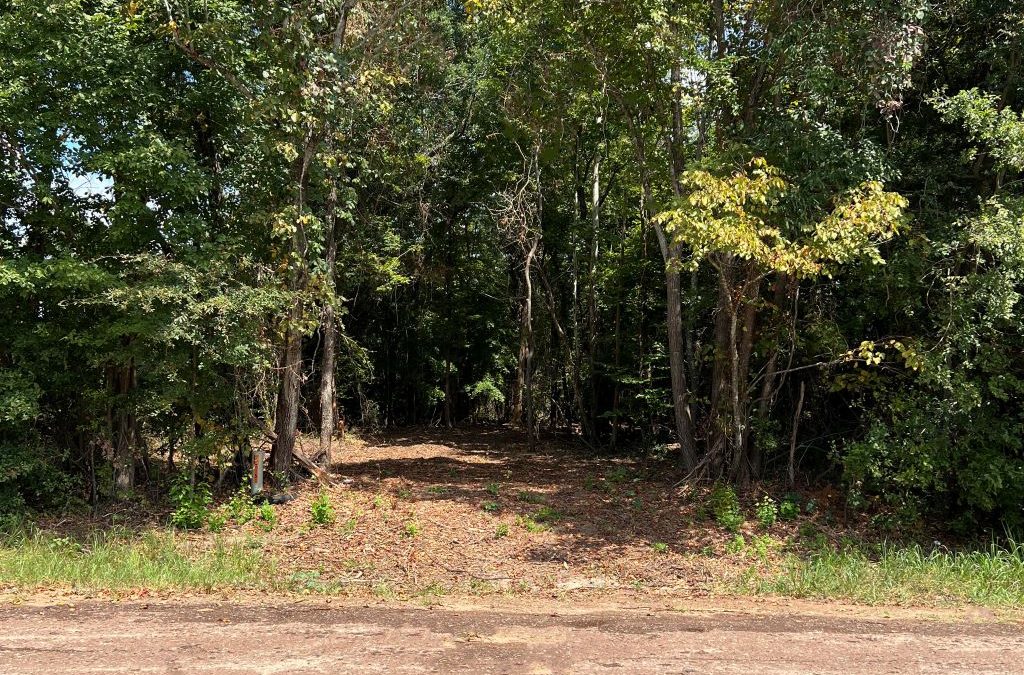 Rural Land for Sale in Smith County