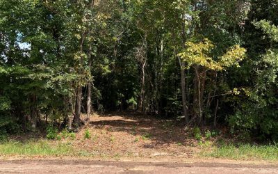 Rural Land for Sale in Smith County